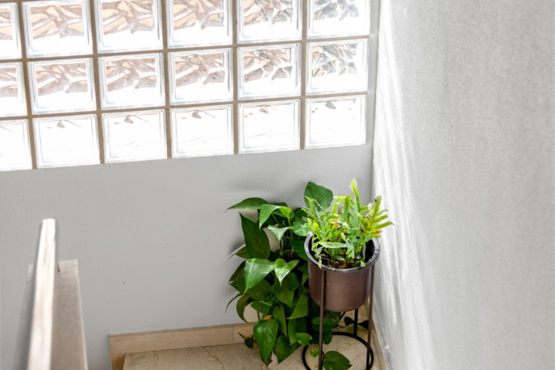 Verkoop - Adosado - Ciudad Quesada - Rojales - Doña pepa