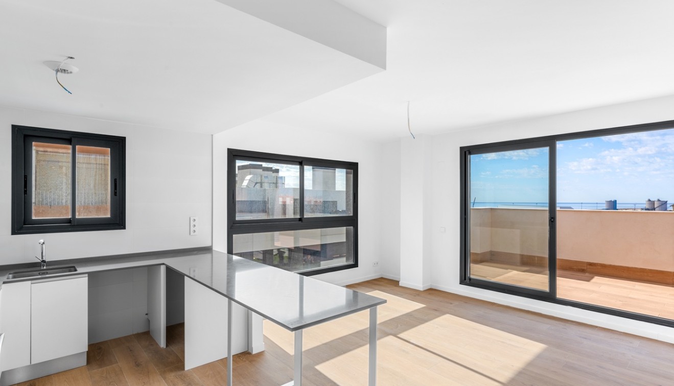 Verkoop - Appartement - Alicante - Benalua
