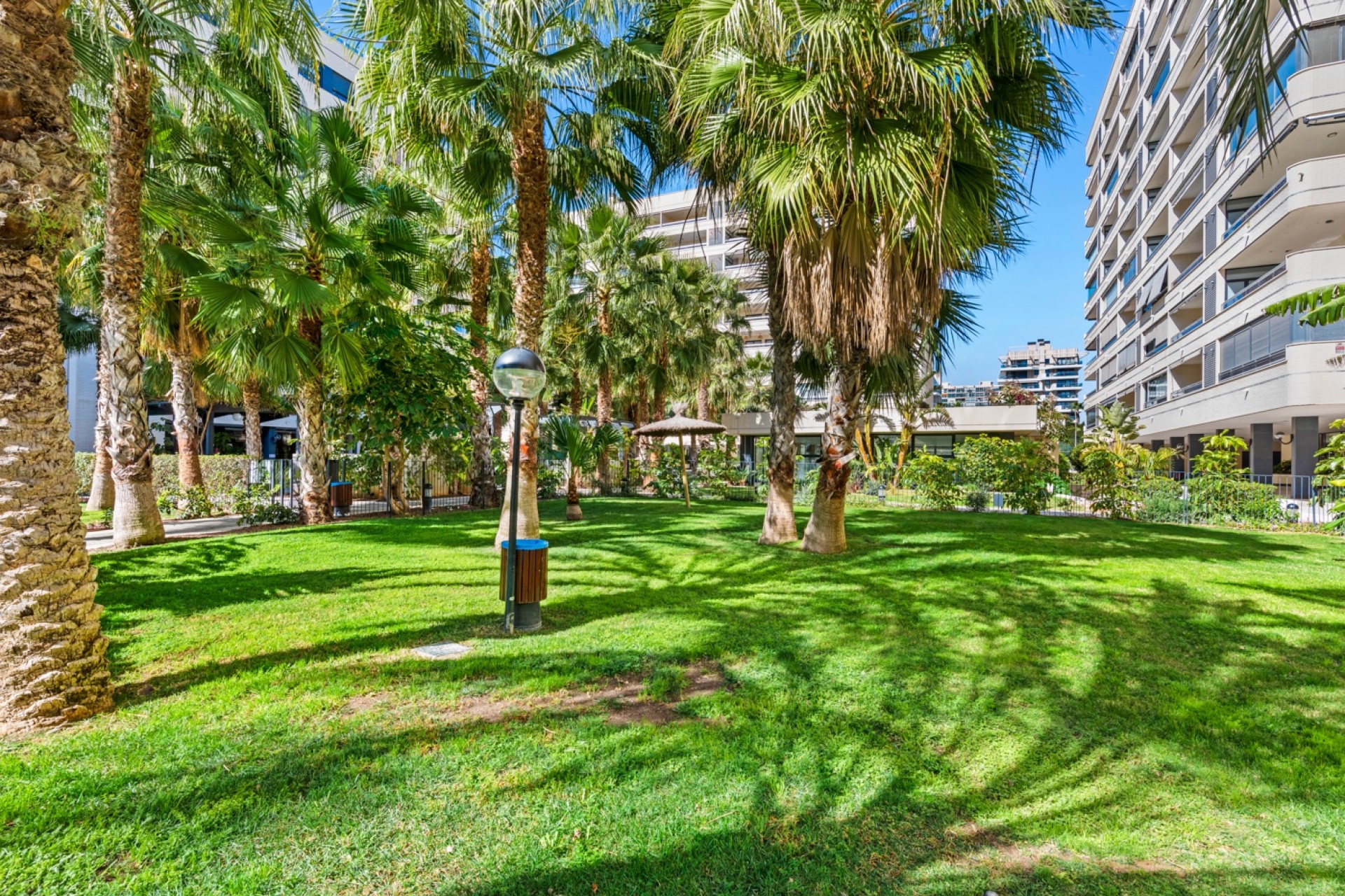 Verkoop - Appartement - Alicante - Playa San Juan