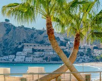 Verkoop - Appartement - Benidorm