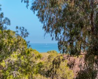 Verkoop - Appartement - Guardamar del Segura