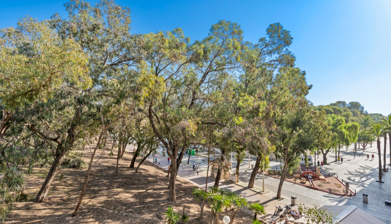 Verkoop - Appartement - Guardamar del Segura