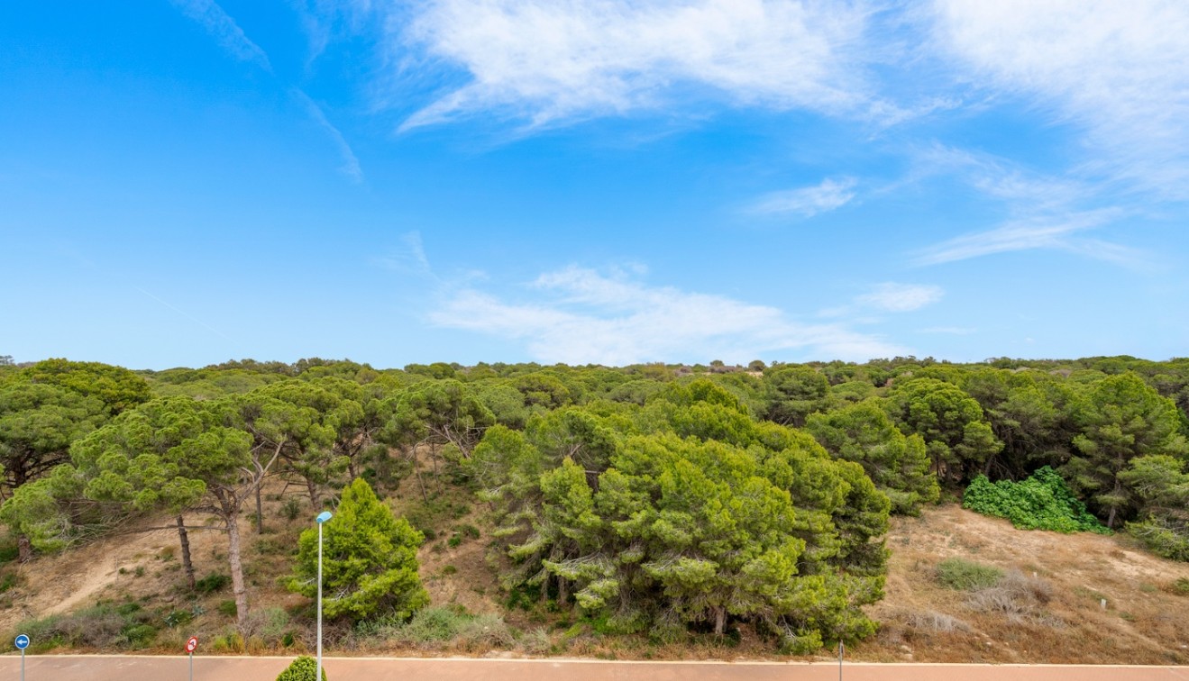 Verkoop - Appartement - Guardamar del Segura