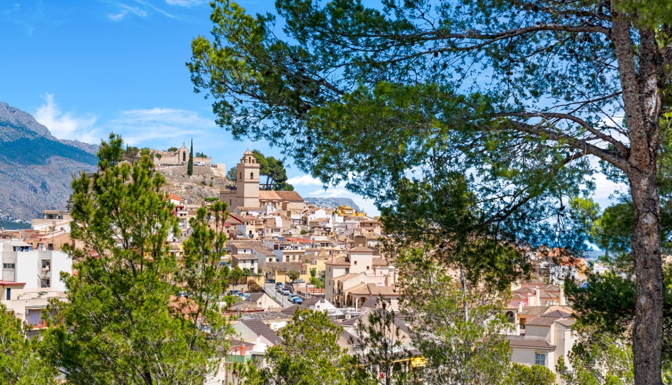 Verkoop - Appartement - La Nucia - La nucia