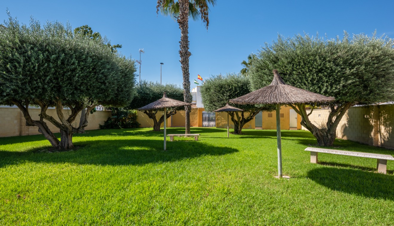 Verkoop - Appartement - Torrevieja