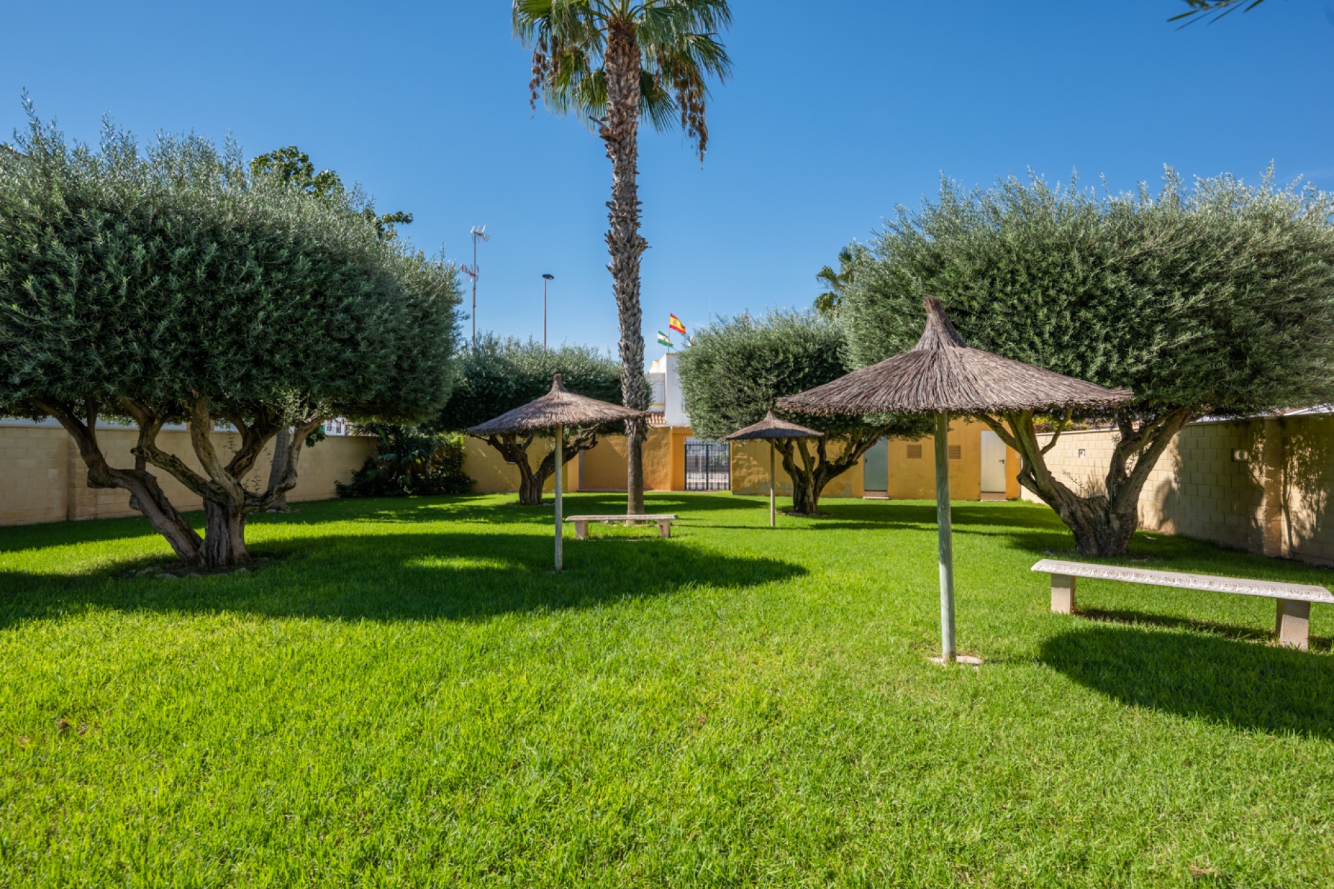 Verkoop - Appartement - Torrevieja