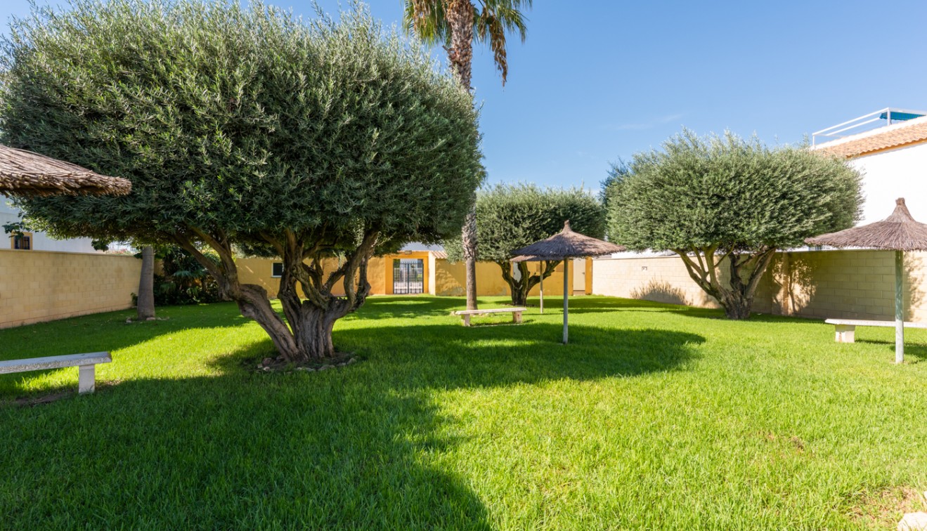 Verkoop - Appartement - Torrevieja