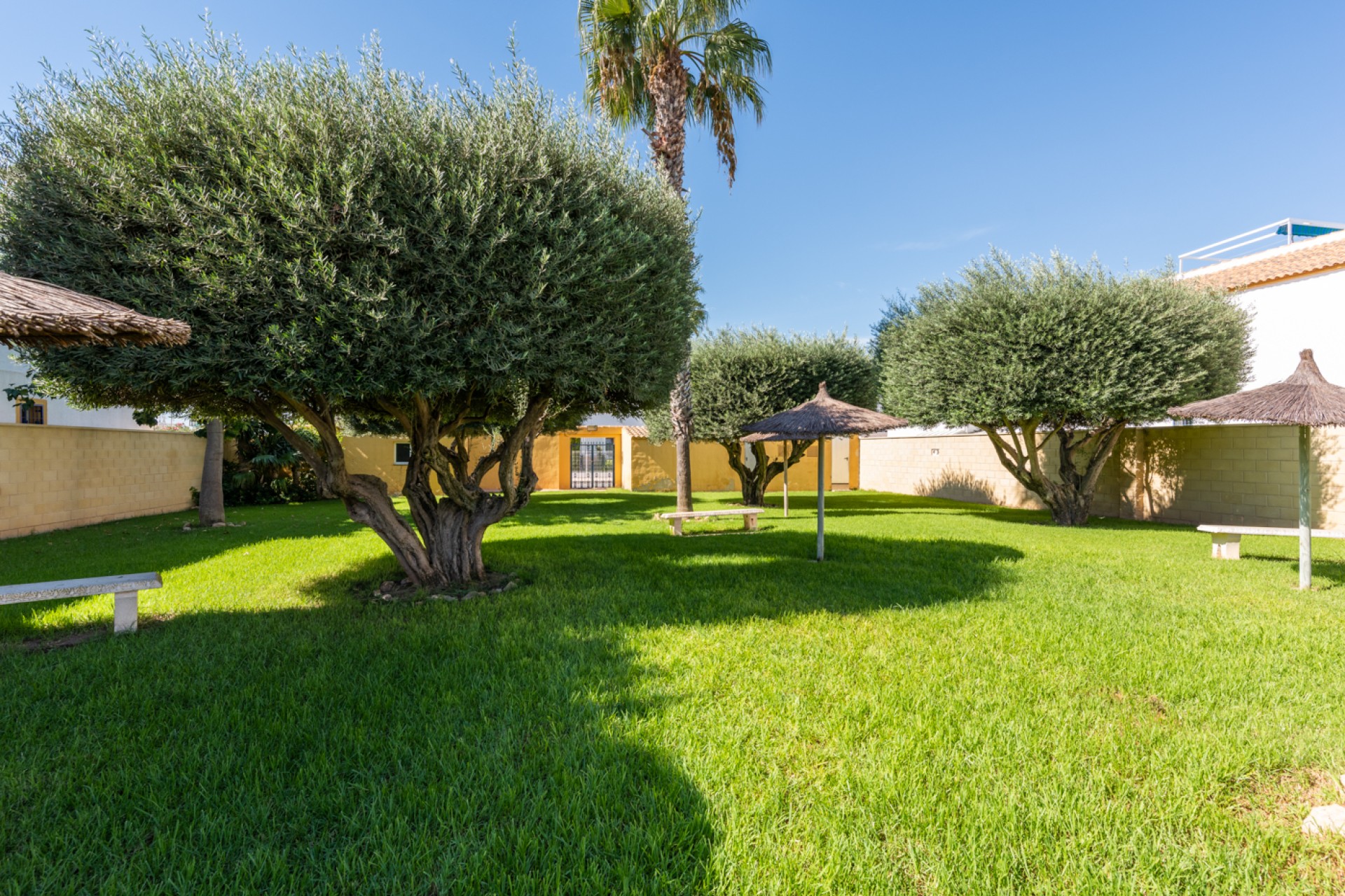 Verkoop - Appartement - Torrevieja