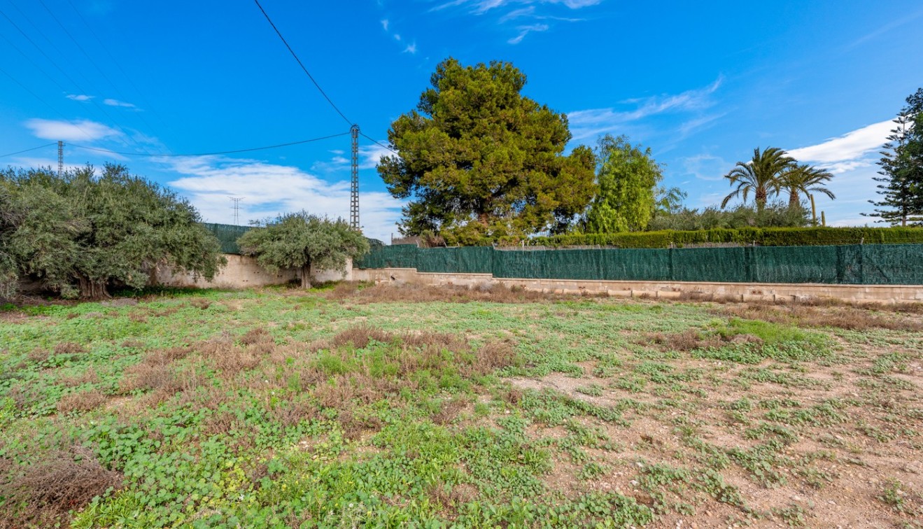 Verkoop - Chalet - Elche/Elx