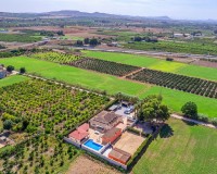 Verkoop - Landgoed - Almoradí - Las Heredades