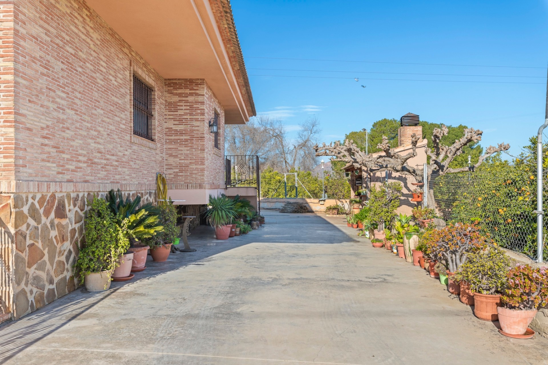 Verkoop - Landgoed - Beniel - Carretera de Beniel