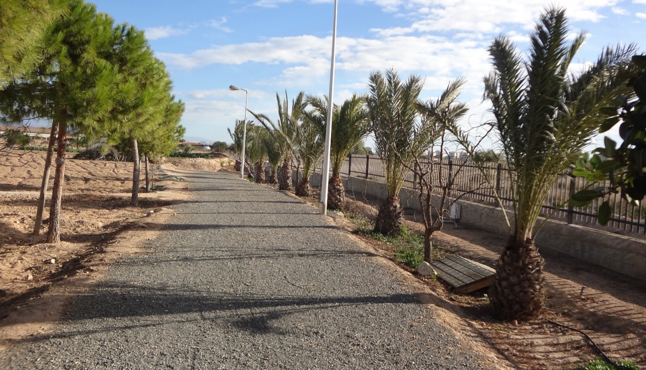 Verkoop - Landgoed - El Altet