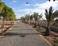 Verkoop - Landgoed - El Altet