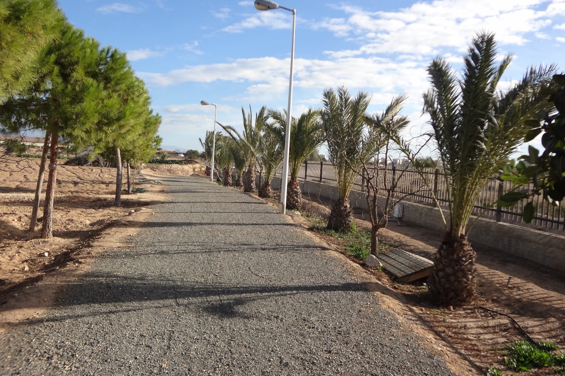 Verkoop - Landgoed - El Altet