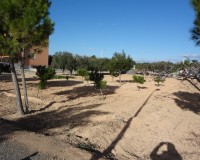 Verkoop - Landgoed - El Altet