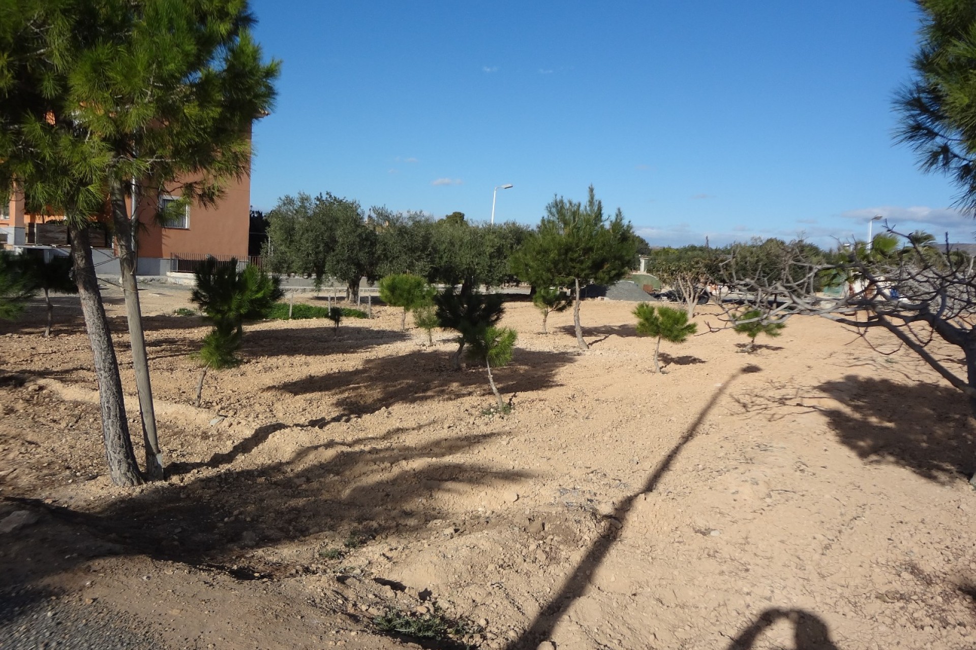 Verkoop - Landgoed - El Altet