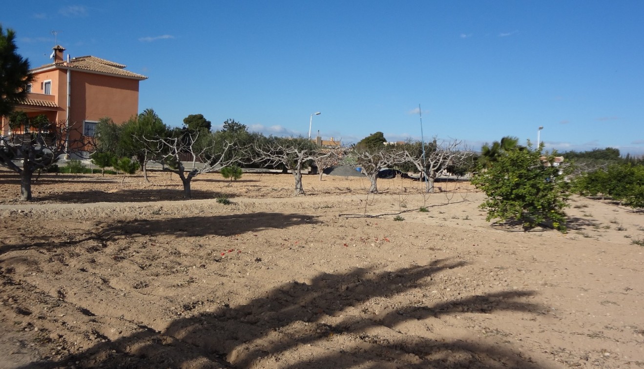 Verkoop - Landgoed - El Altet