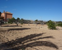 Verkoop - Landgoed - El Altet