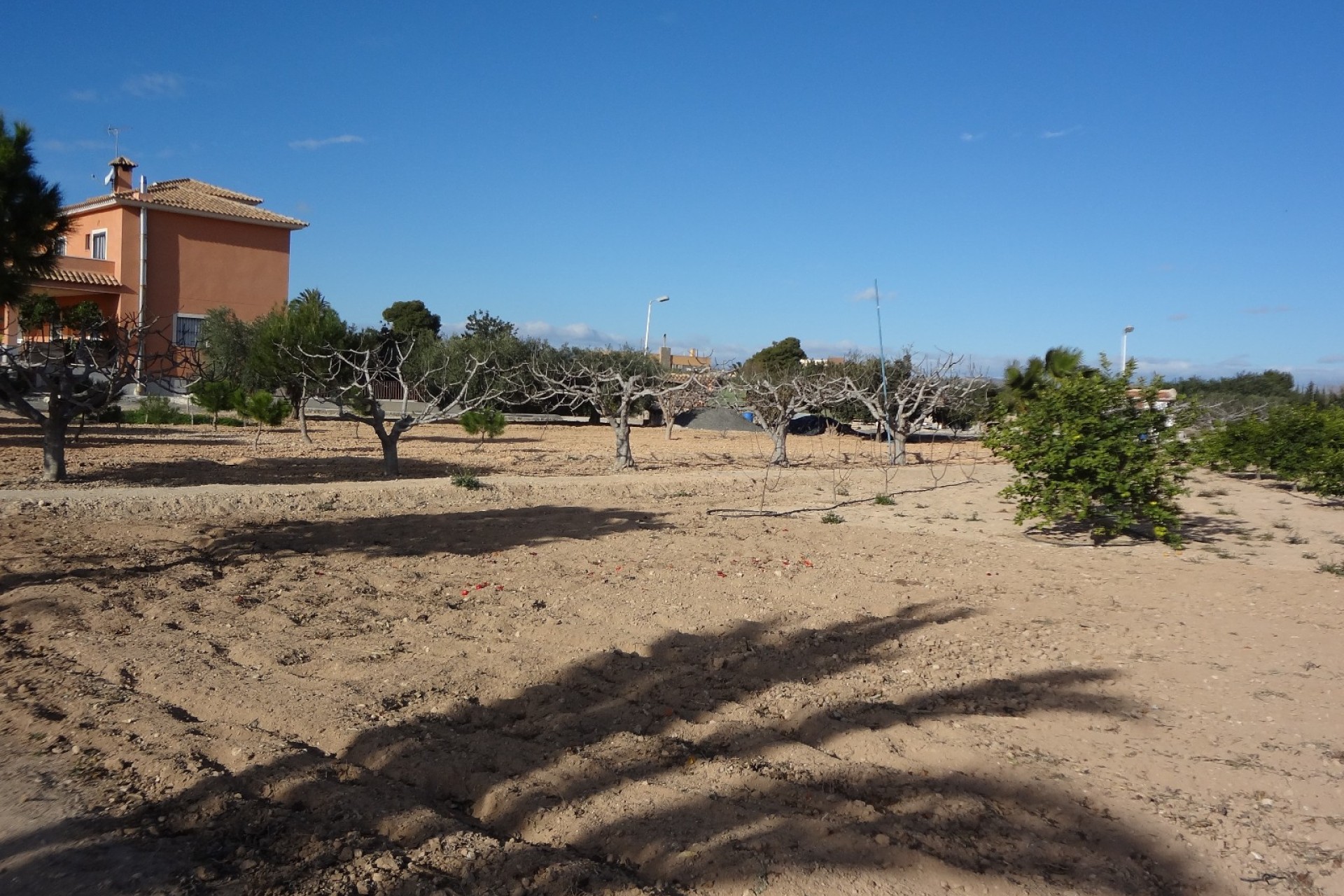 Verkoop - Landgoed - El Altet