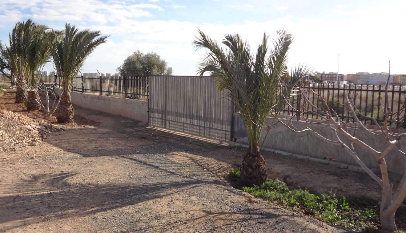 Verkoop - Landgoed - El Altet