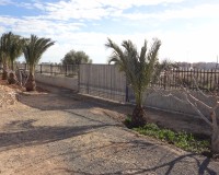 Verkoop - Landgoed - El Altet