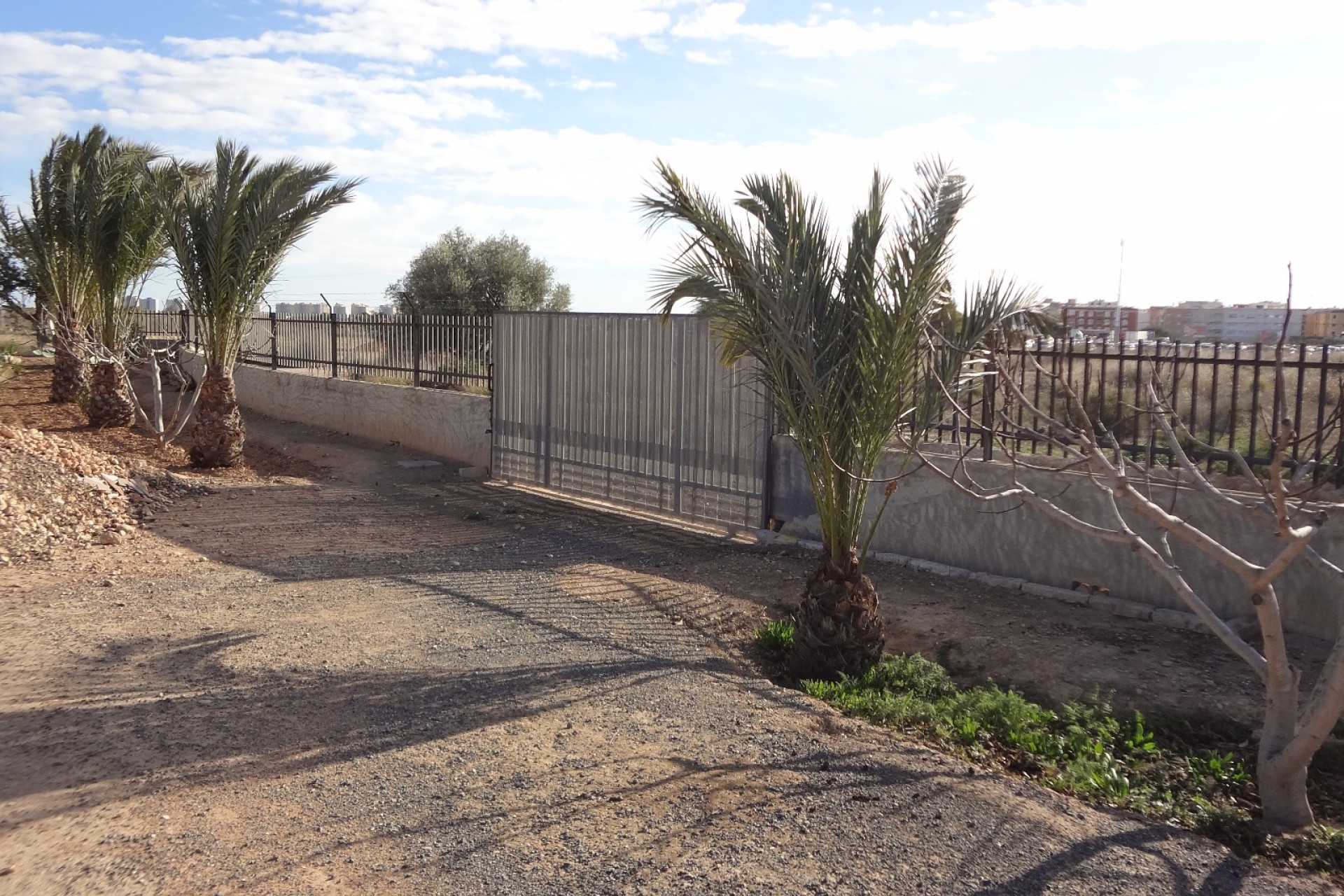 Verkoop - Landgoed - El Altet