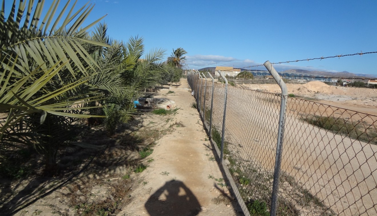 Verkoop - Landgoed - El Altet