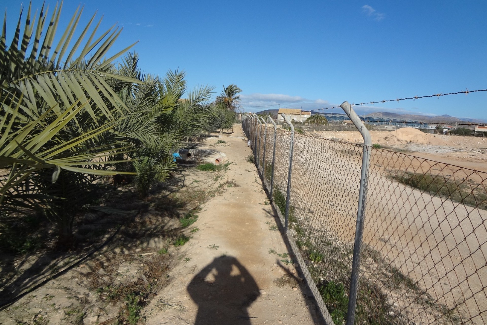 Verkoop - Landgoed - El Altet