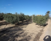 Verkoop - Landgoed - El Altet