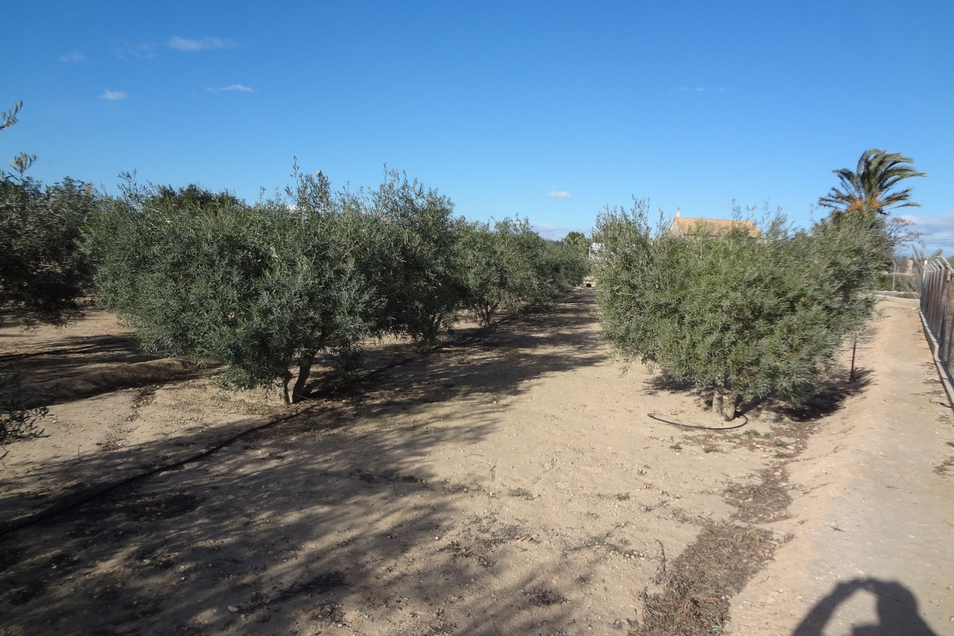 Verkoop - Landgoed - El Altet