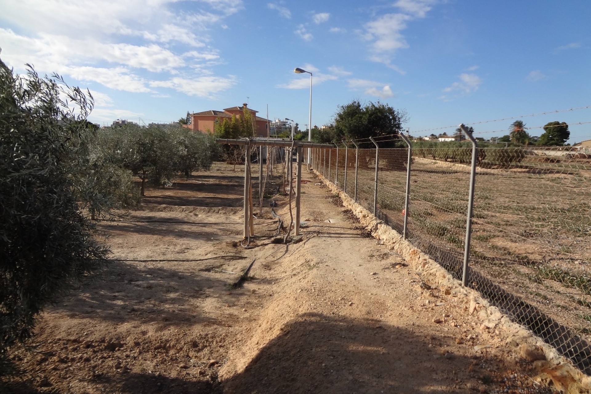 Verkoop - Landgoed - El Altet