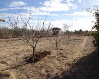 Verkoop - Landgoed - El Altet