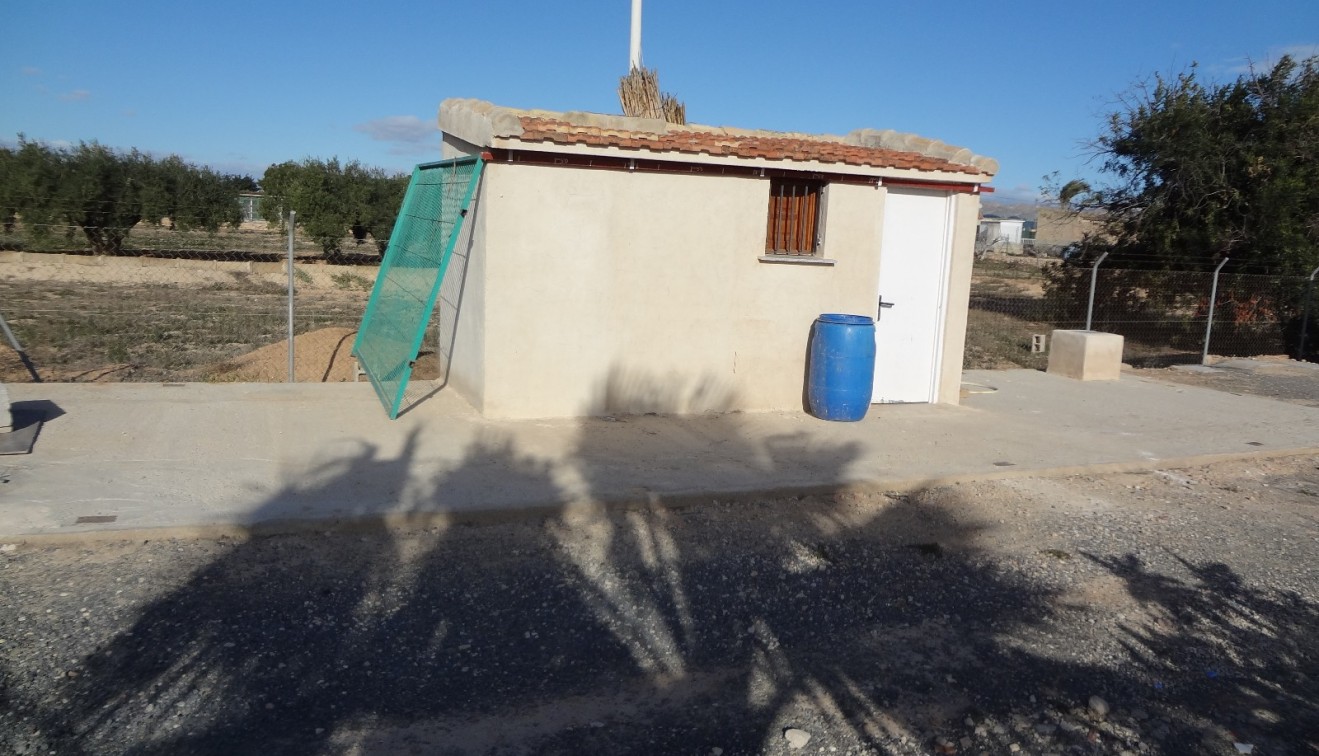 Verkoop - Landgoed - El Altet