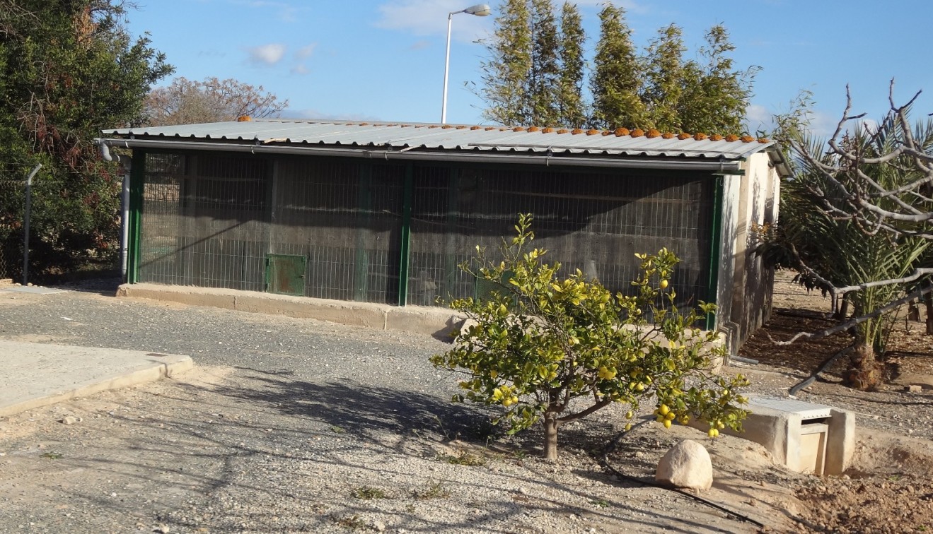 Verkoop - Landgoed - El Altet