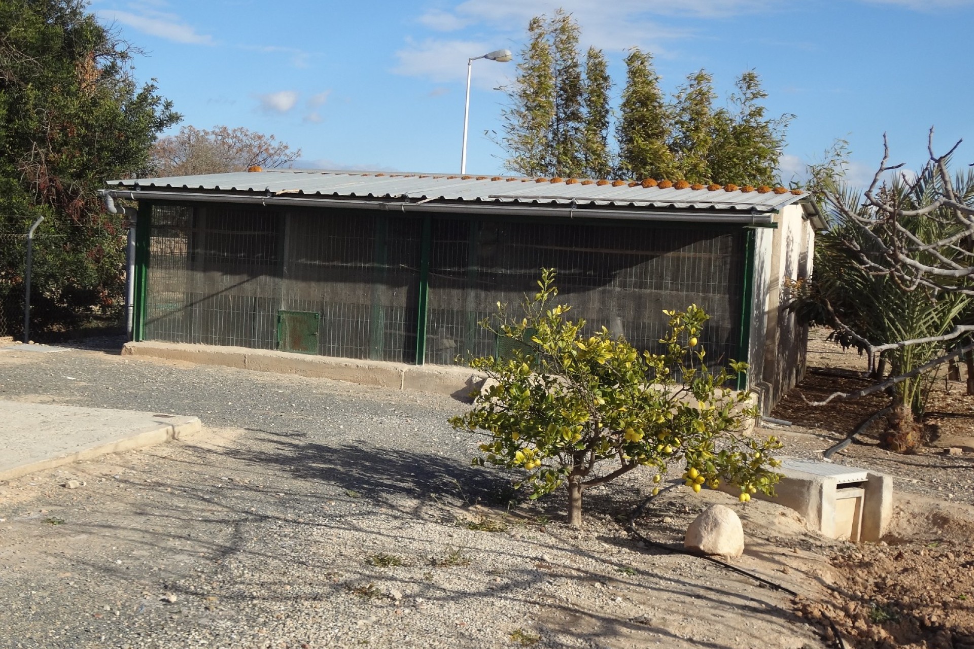 Verkoop - Landgoed - El Altet