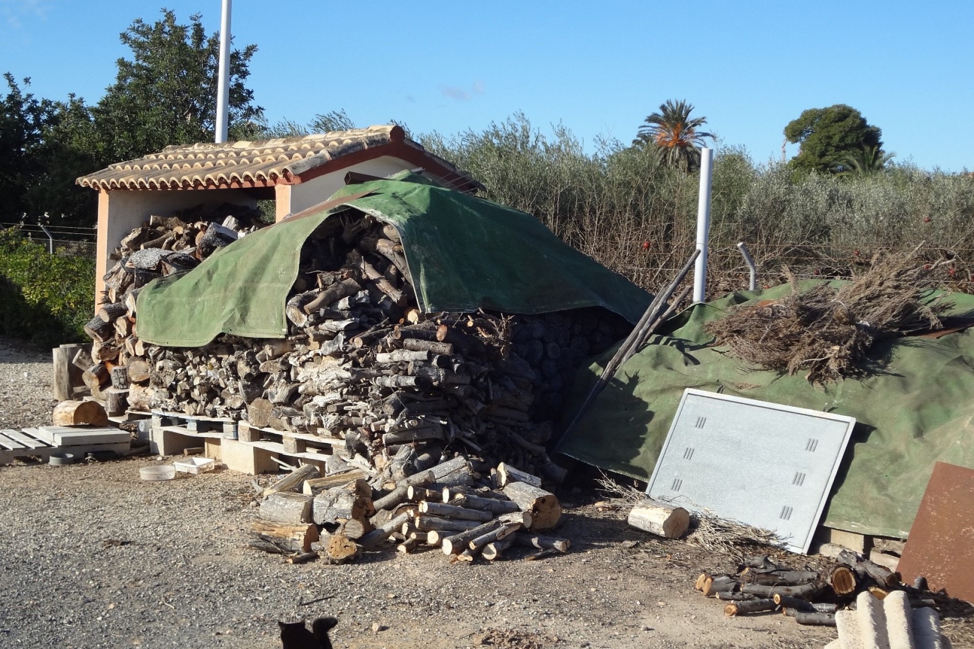 Verkoop - Landgoed - El Altet