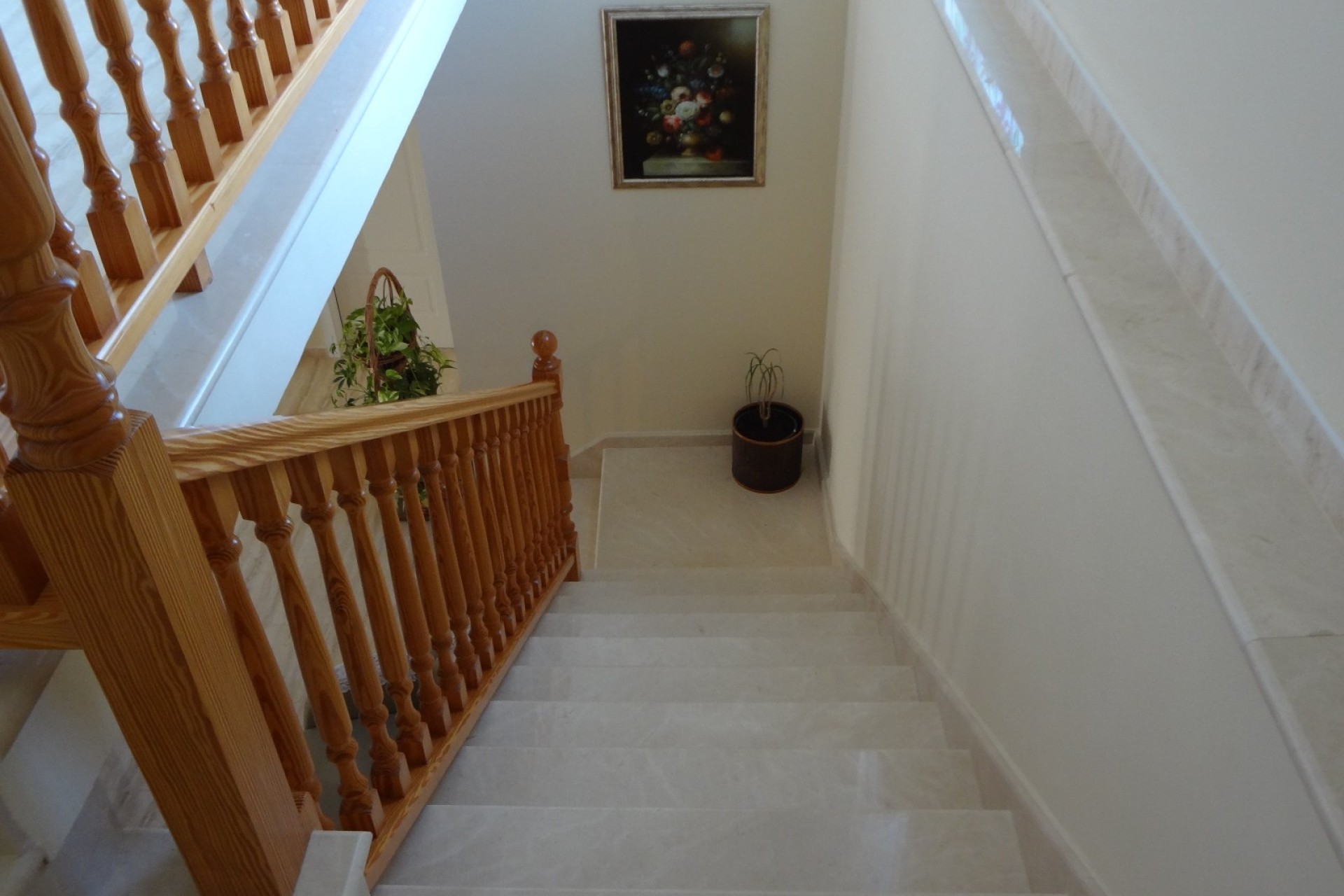 Verkoop - Landgoed - El Altet