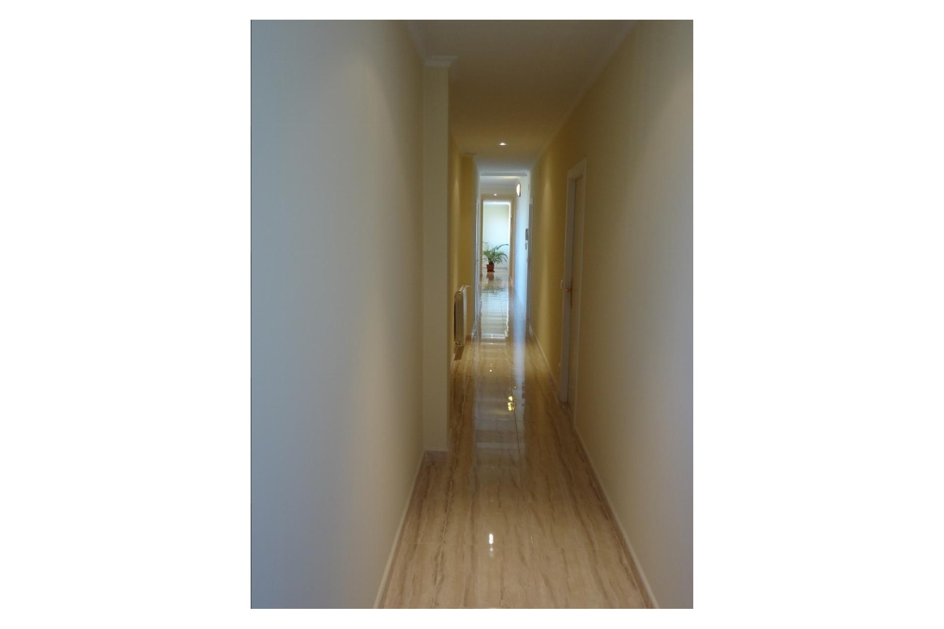 Verkoop - Landgoed - El Altet