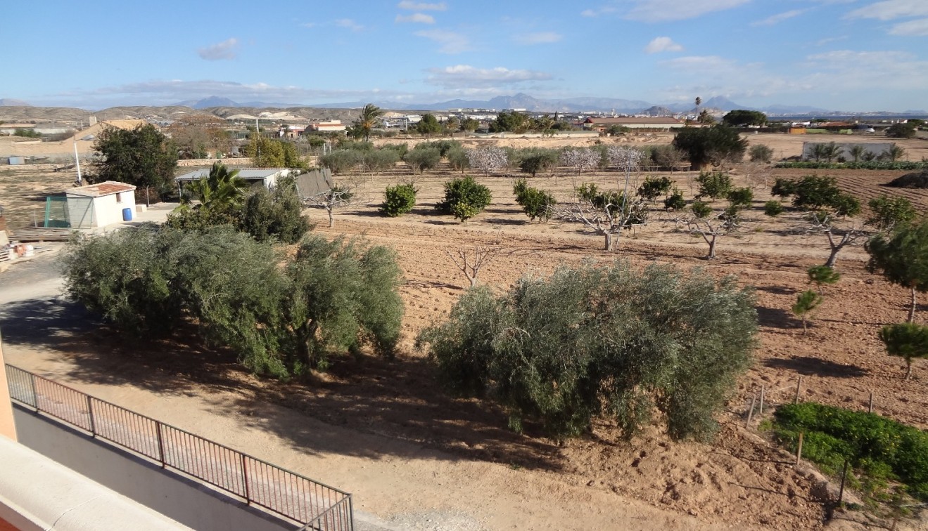 Verkoop - Landgoed - El Altet