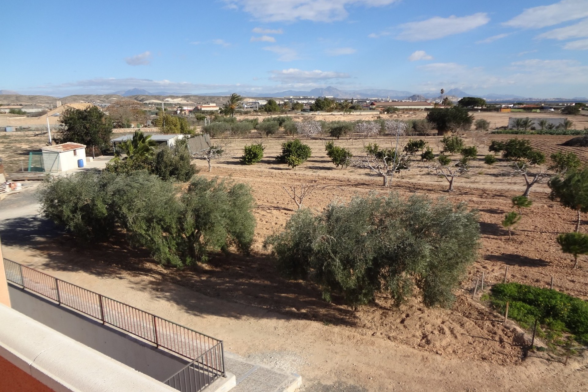 Verkoop - Landgoed - El Altet