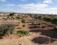 Verkoop - Landgoed - El Altet