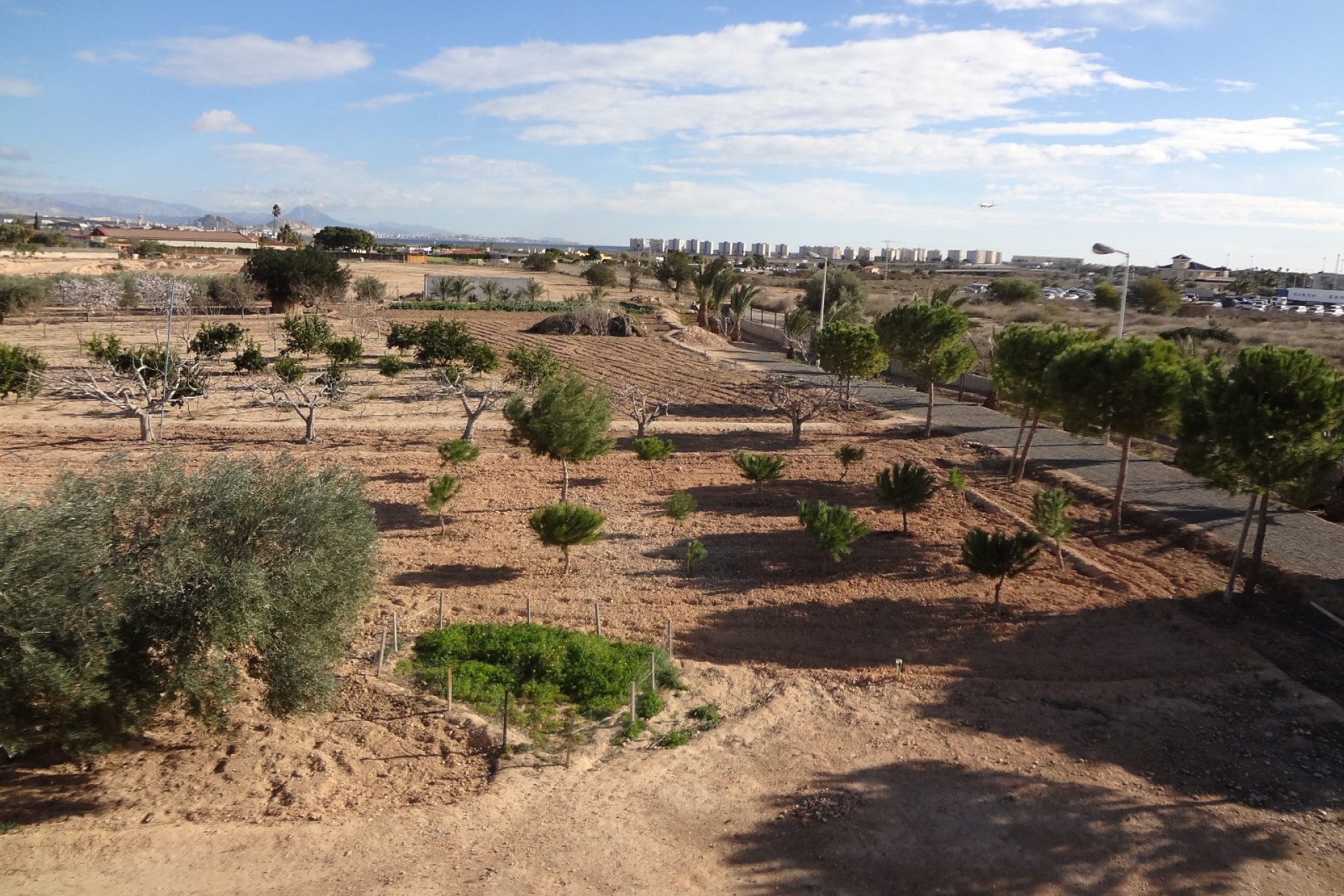 Verkoop - Landgoed - El Altet