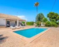 Verkoop - Landgoed - Elche/Elx