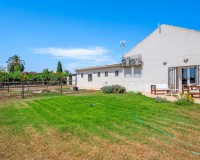 Verkoop - Landgoed - Elche/Elx