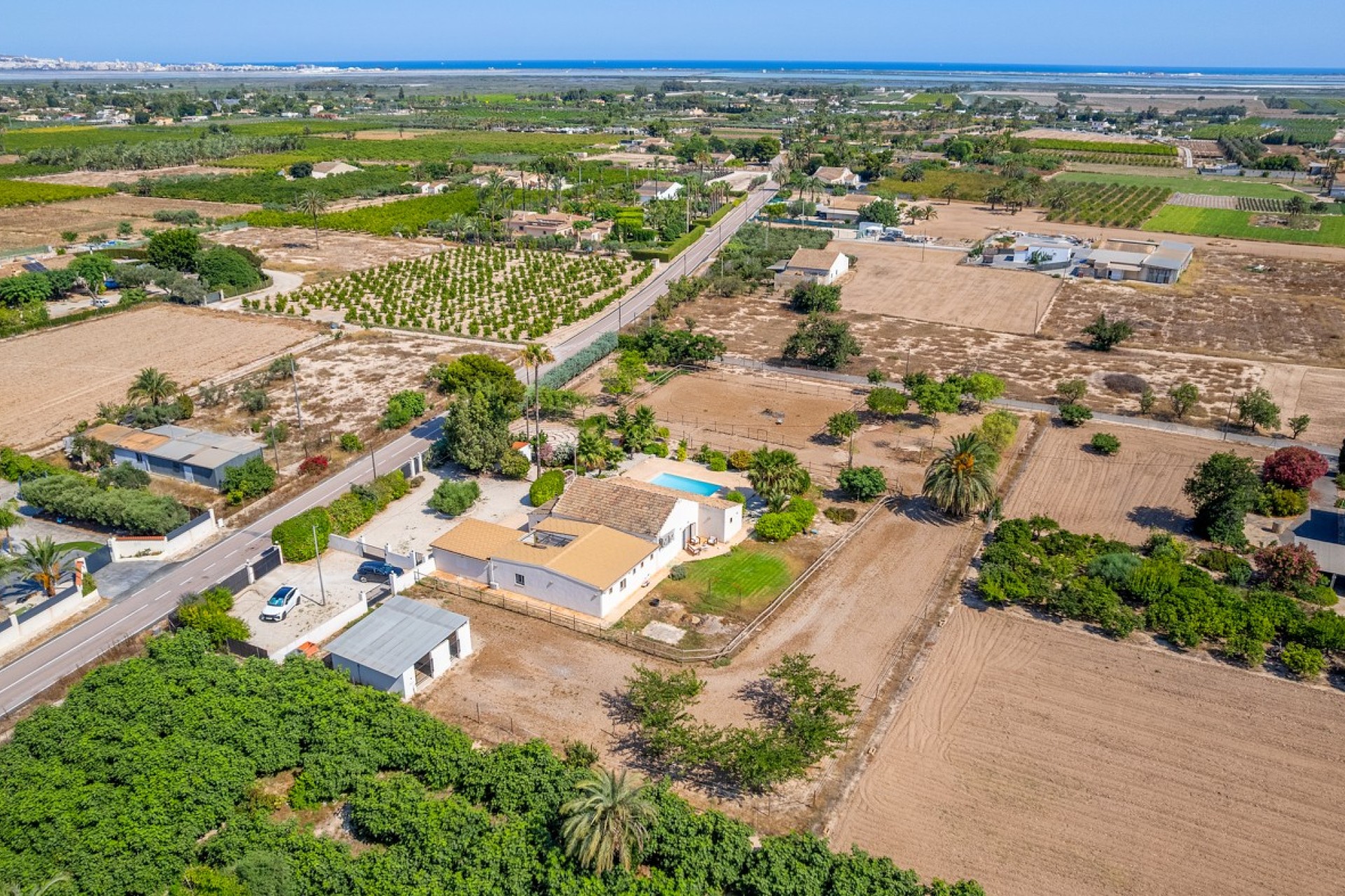 Verkoop - Landgoed - Elche/Elx