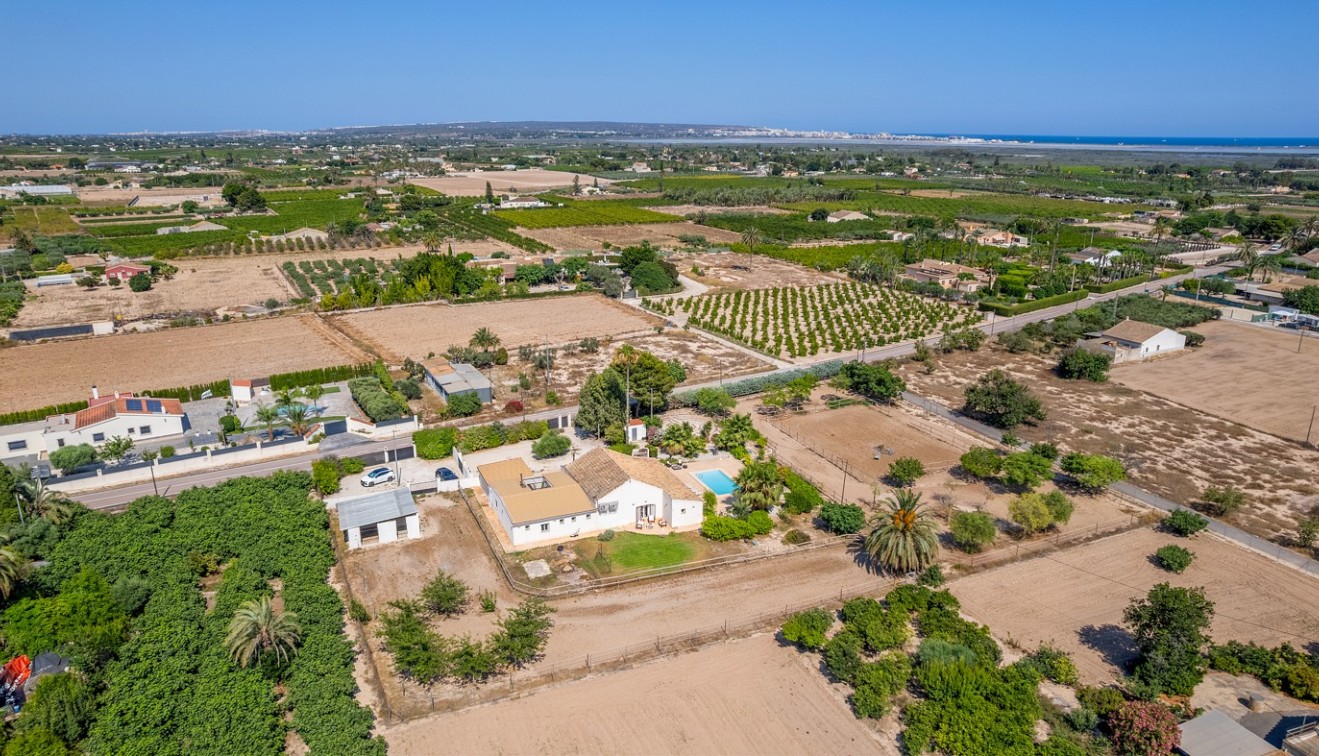 Verkoop - Landgoed - Elche/Elx