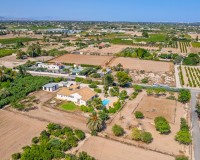 Verkoop - Landgoed - Elche/Elx