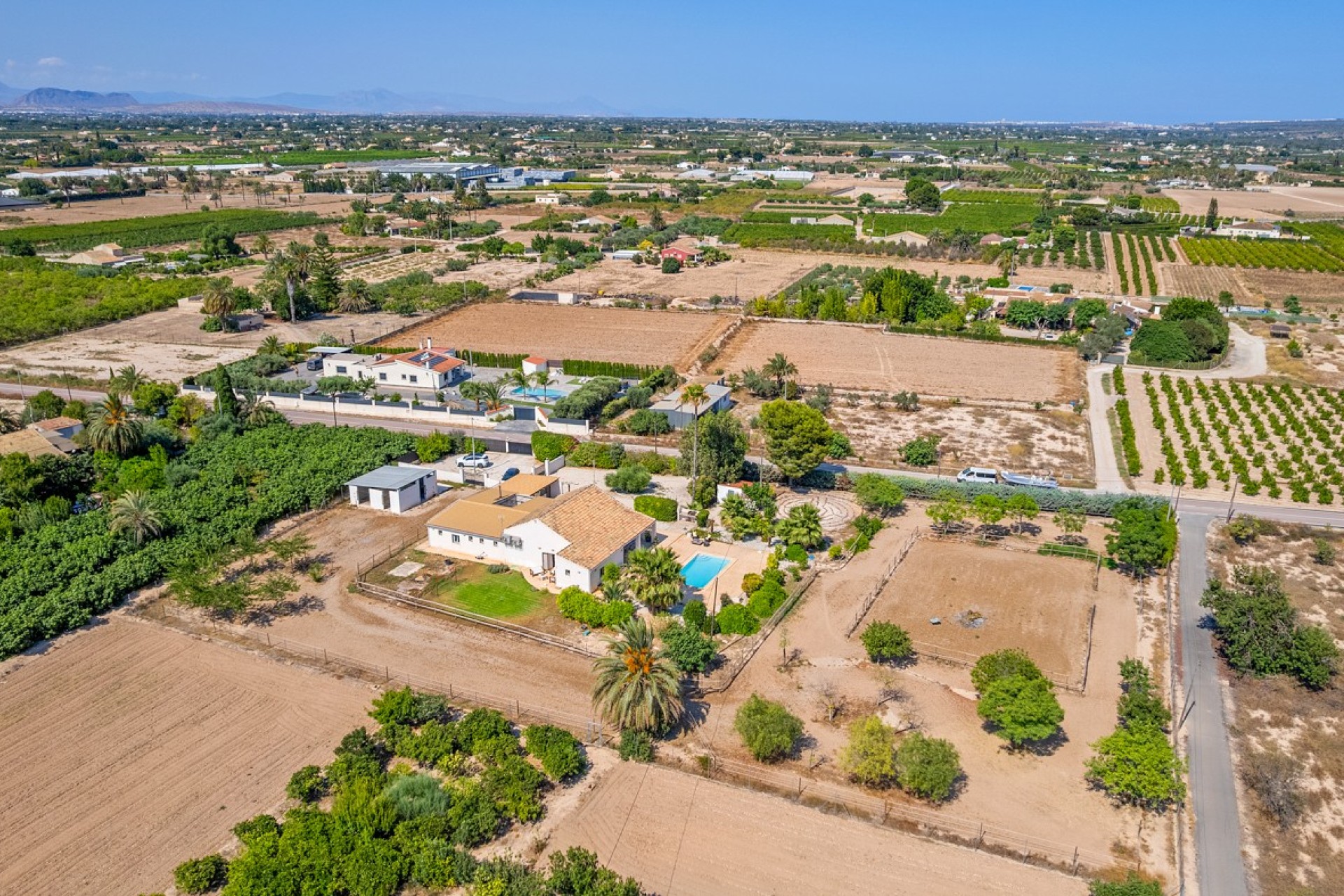 Verkoop - Landgoed - Elche/Elx