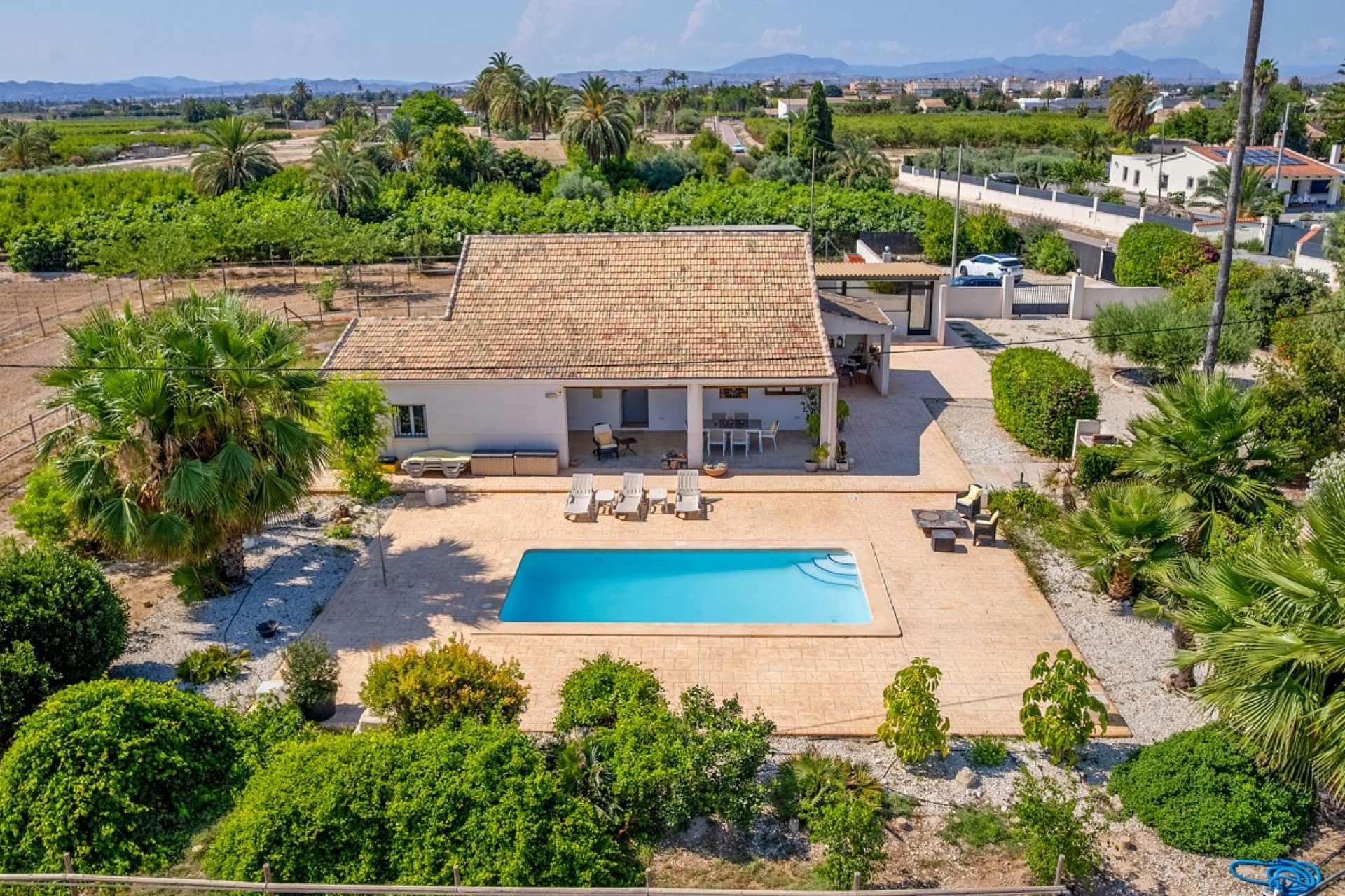 Verkoop - Landgoed - Elche/Elx