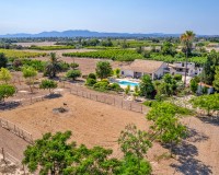 Verkoop - Landgoed - Elche/Elx